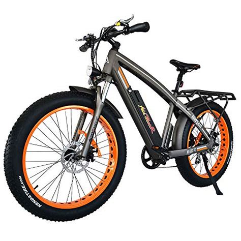 electric bikes for adults over 300 lbs